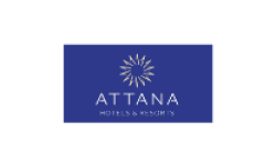 Attana Test 3