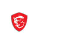 MSI Test 3